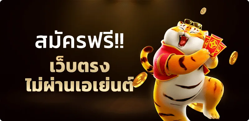 MAXZLOT ทางเข้า สมัคร และเข้าสู่ระบบเว็บหลัก